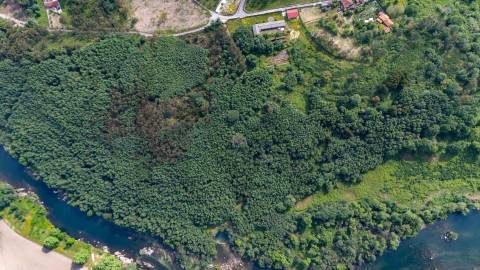 Terreno em Venda - Oportunidade Única em Braga 