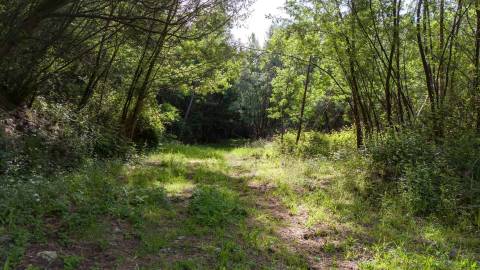 Terreno em Venda - Oportunidade Única em Braga 