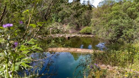 Terreno em Venda - Oportunidade Única em Braga 