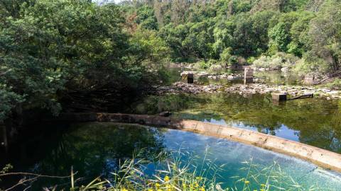 Terreno em Venda - Oportunidade Única em Braga 