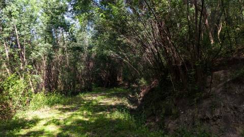 Terreno em Venda - Oportunidade Única em Braga 