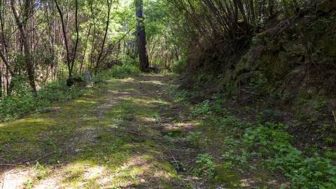 Terreno em Venda - Oportunidade Única em Braga 