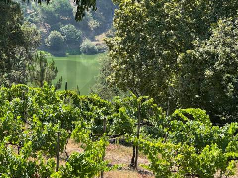 Propriedade de Luxo junto ao Rio Tâmega | Santo Isidoro – Marco de Canaveses