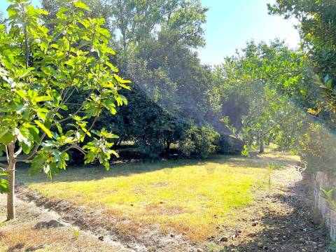 Propriedade de Luxo junto ao Rio Tâmega | Santo Isidoro – Marco de Canaveses