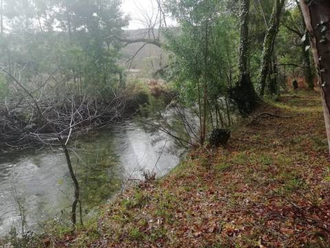 Investment Opportunity Vale do Âncora com Frente de Rio – Gondar e Orbacem, Caminha