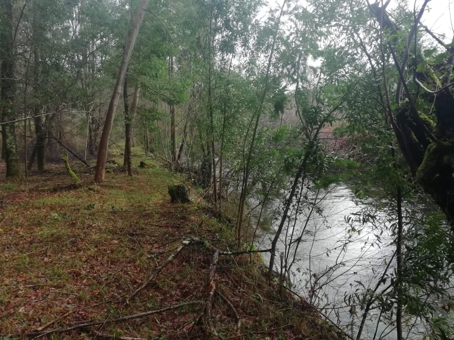 Investment Opportunity Vale do Âncora com Frente de Rio – Gondar e Orbacem, Caminha
