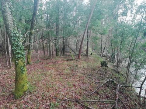 Investment Opportunity Vale do Âncora com Frente de Rio – Gondar e Orbacem, Caminha