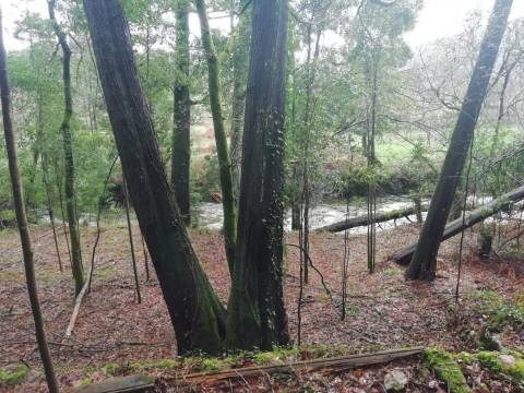 Investment Opportunity Vale do Âncora com Frente de Rio – Gondar e Orbacem, Caminha