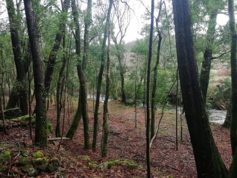 Investment Opportunity Vale do Âncora com Frente de Rio – Gondar e Orbacem, Caminha