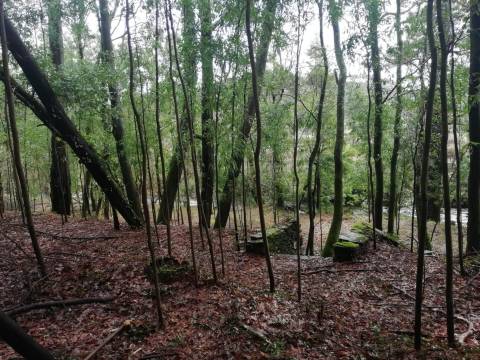Investment Opportunity Vale do Âncora com Frente de Rio – Gondar e Orbacem, Caminha