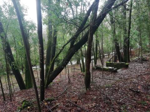 Investment Opportunity Vale do Âncora com Frente de Rio – Gondar e Orbacem, Caminha