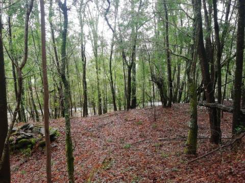 Investment Opportunity Vale do Âncora com Frente de Rio – Gondar e Orbacem, Caminha