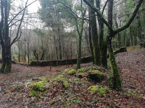 Investment Opportunity Vale do Âncora com Frente de Rio – Gondar e Orbacem, Caminha