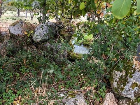Propriedade Exclusiva na Touça (V.N. de Foz-Côa): Moradia, Palheiros e Vasta Área Agrícola Murada