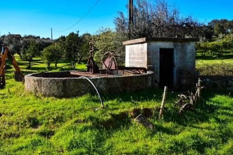 Refúgio Sustentável e Autossuficiênte em Mata da Rainha, Fundão