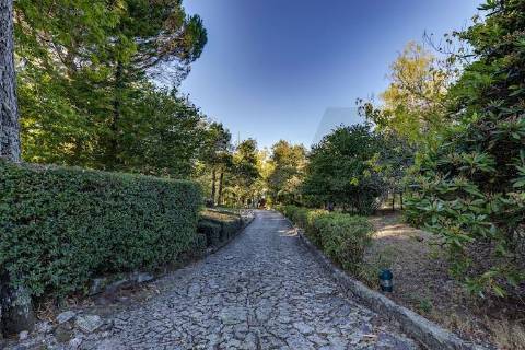 Quinta T5 exclusiva - Monte Córdova, Sto. Tirso | 16.150m² de privacidade, natureza e potencial