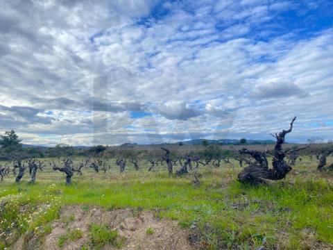 Quinta com moradia e terreno em Vale de Prazeres, Fundão