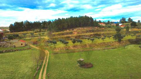 Quinta com moradia e terreno em Vale de Prazeres, Fundão