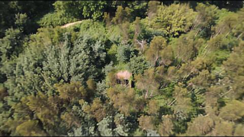 Propriedade mista com 53 hectares em Canedo, Santa Maria da Feira