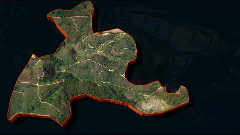 Propriedade mista com 53 hectares em Canedo, Santa Maria da Feira