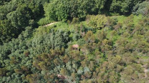 Propriedade mista com 53 hectares em Canedo, Santa Maria da Feira