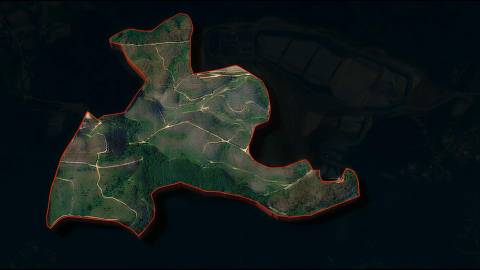 Propriedade mista com 53 hectares em Canedo, Santa Maria da Feira