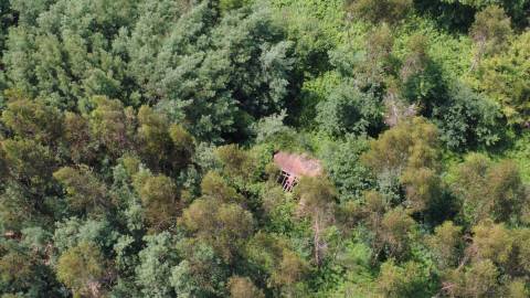 Propriedade mista com 53 hectares em Canedo, Santa Maria da Feira