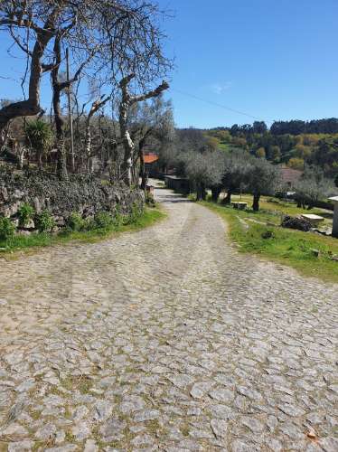 Terrenos Rústicos para Venda  com 4800 m2– Lugar de Asnela, Rio Douro – Cabeceiras de Basto