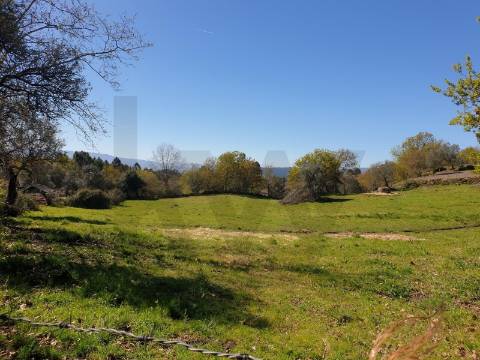 Terrenos Rústicos para Venda  com 4800 m2– Lugar de Asnela, Rio Douro – Cabeceiras de Basto