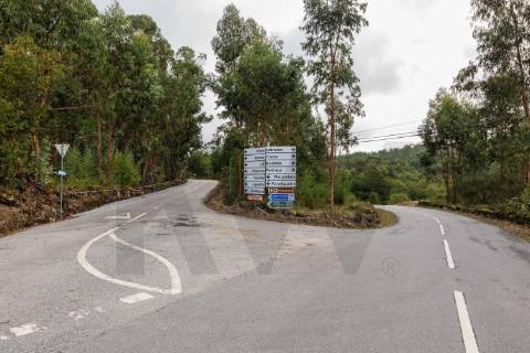 Terreno Rústico em Asnela (Cabeceiras de Basto) – 2800m² de Natureza e Potencial no Coração do Minho