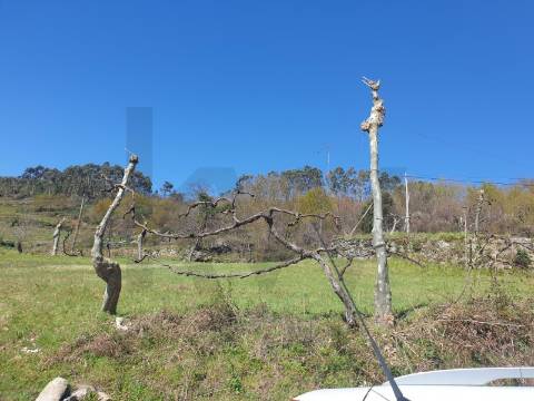 Terreno Rústico com 1430 m² em Rio Douro, Cabeceiras de Basto 
