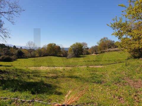 Terreno Rústico com 1430 m² em Rio Douro, Cabeceiras de Basto 