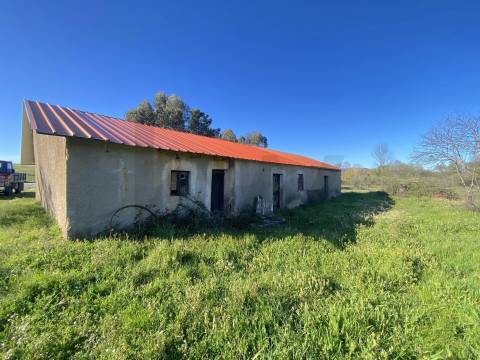 🏡 Moradia para Reconstrução com Terreno de 1,2 Hectares e Ribeira – Enxames