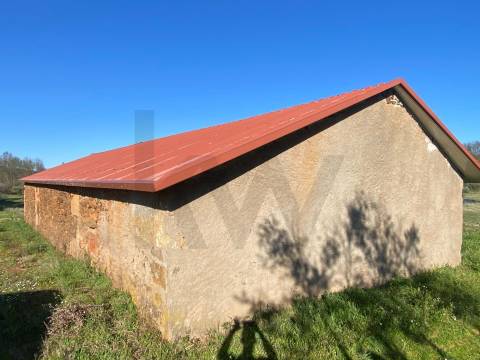 🏡 Moradia para Reconstrução com Terreno de 1,2 Hectares e Ribeira – Enxames