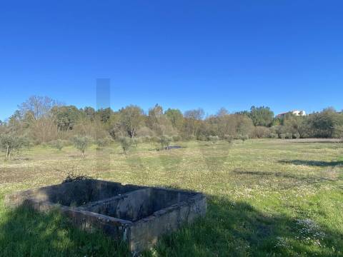🏡 Moradia para Reconstrução com Terreno de 1,2 Hectares e Ribeira – Enxames