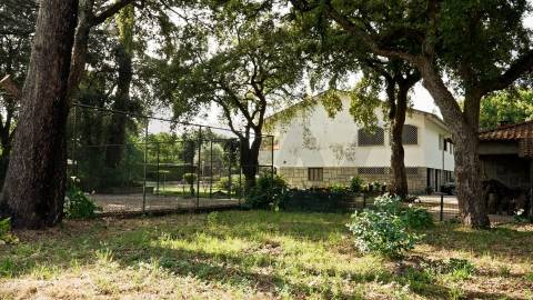 Moradia T5 em Vila das Aves com piscina exterior