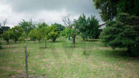 Moradia T5 em Vila das Aves com piscina exterior