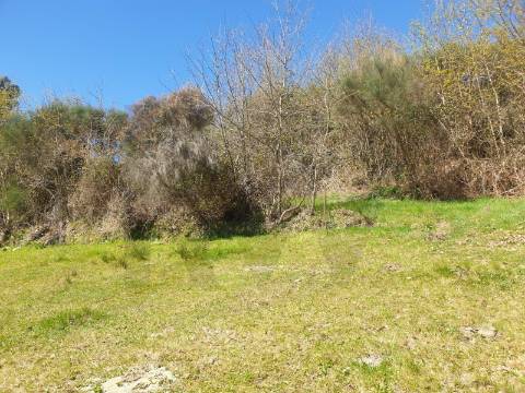 Terreno Rústico com 4.500 m² em Rio Douro, Cabeceiras de Basto – Oportunidade Única
