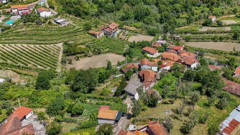 Moradias de charme em Baião Douro Vinhateiro