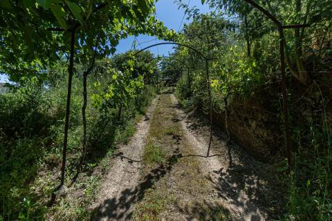 Moradias de charme em Baião Douro Vinhateiro