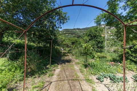 Moradias de charme em Baião Douro Vinhateiro