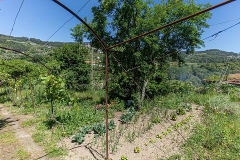 Moradias de charme em Baião Douro Vinhateiro