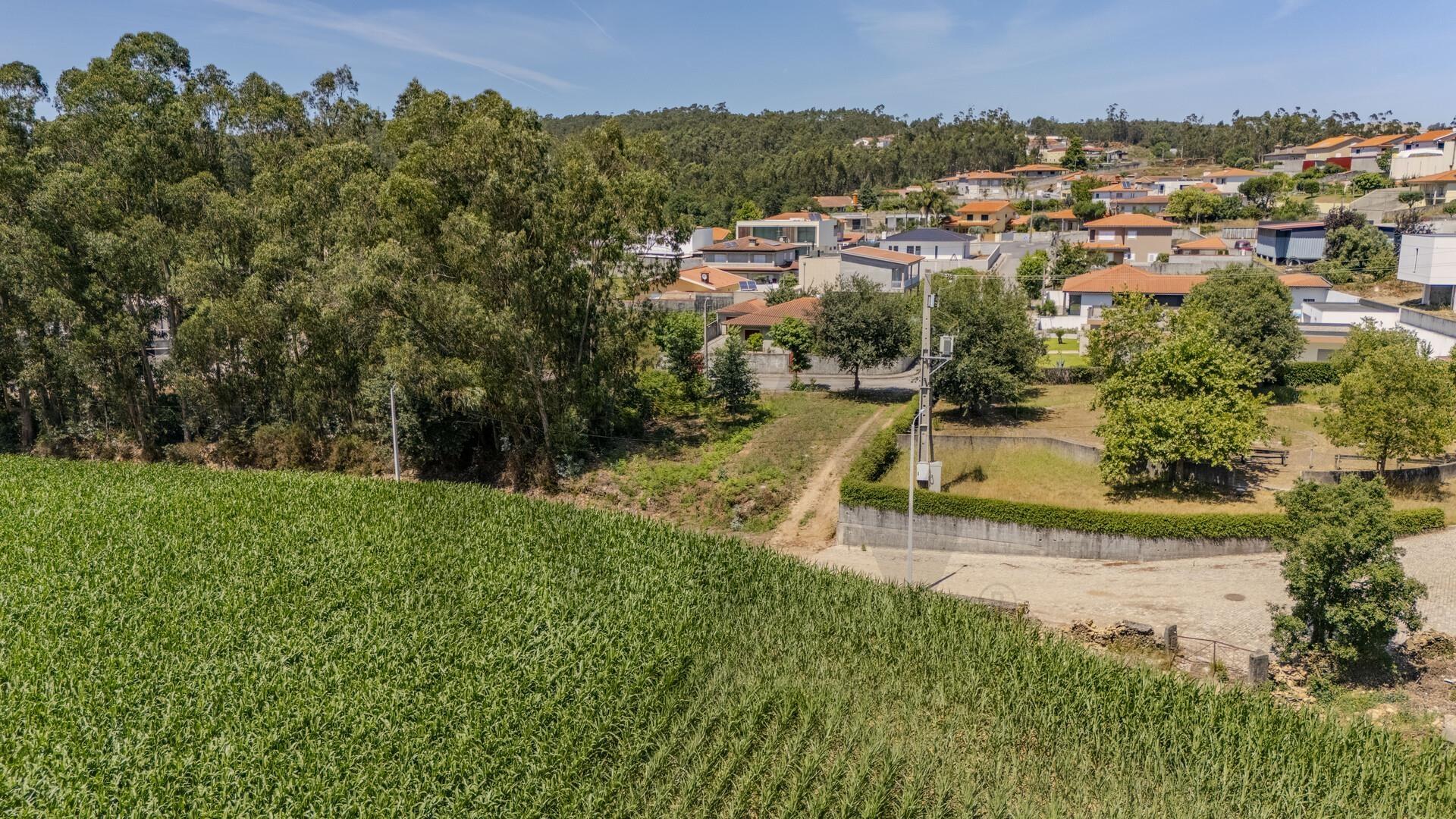 Terreno Fradelos (Sapugal)