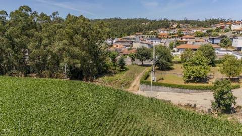 Terreno Fradelos (Sapugal)