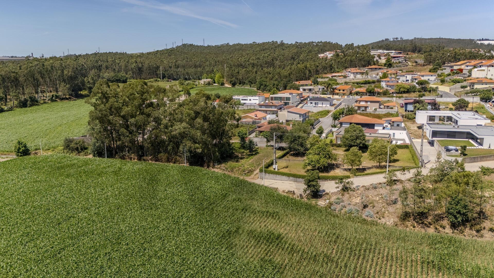 Terreno Fradelos (Sapugal)