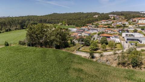 Terreno Fradelos (Sapugal)