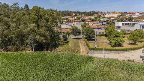 Terreno Fradelos (Sapugal)