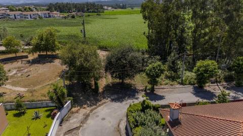 Terreno Fradelos (Sapugal)