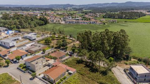 Terreno Fradelos (Sapugal)