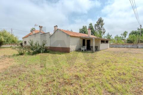 Moradia independente térrea T3+1 | Terreno 2.243 m2 | Berlengas, a 5km da Praia da Tocha